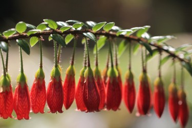 深圳罗湖区私人快速借钱网，轻松解决资金难题