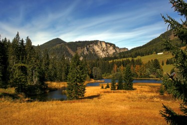 深圳罗湖区民间私贷攻略：揭秘低成本借贷的秘密