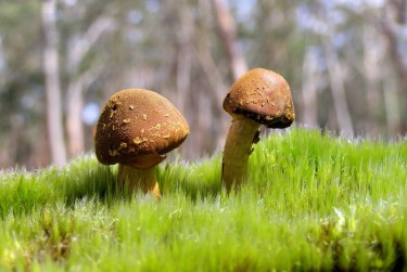 深圳罗湖区私人老板放款：轻松融资的秘密通道